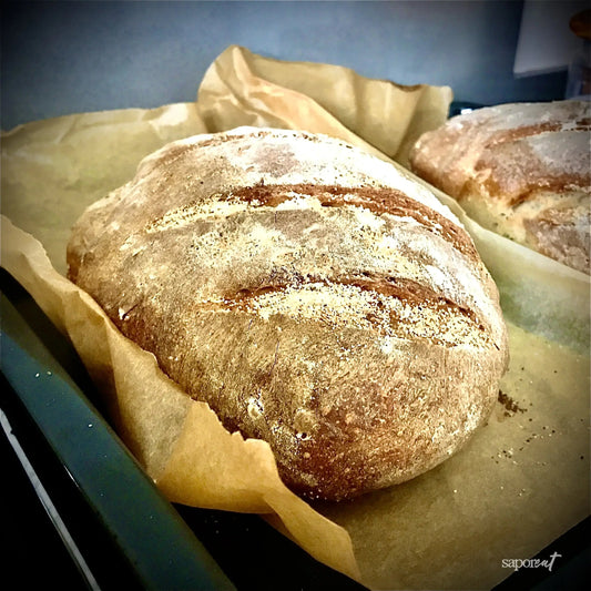 Artisan high hydration bread loaf with a golden crust cooling on parchment paper