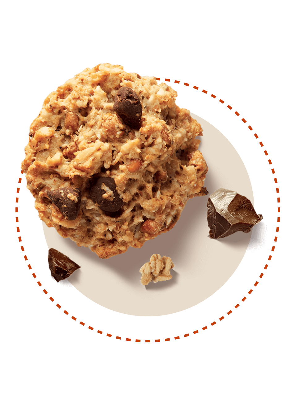 Galbusera Oat Choc Chip Cookies 300g Fifo Store