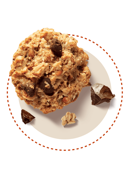 Galbusera Oat Choc Chip Cookies 300g Fifo Store
